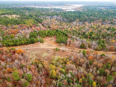 Gorgeous property with endless potential! 172 + acres up on the - photo 9