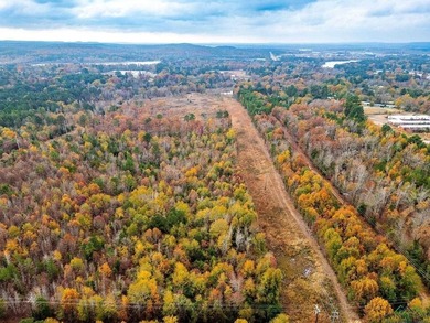 Gorgeous property with endless potential! 172 + acres up on the - photo 10