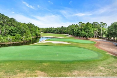 Rich with Pawleys Islands best amenities this offering in The - photo 37