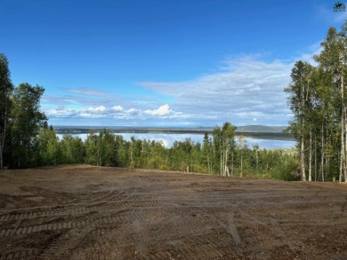  Lot For Sale in Salcha Alaska