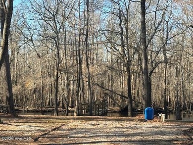 (private lake, pond, coastal) Lot For Sale in Atkinson North Carolina