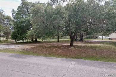 MOBILE HOMES OK! CLEARED lot with beautiful trees. Wow this is a - photo 3