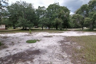 MOBILE HOMES OK! CLEARED lot with beautiful trees. Wow this is a - photo 5