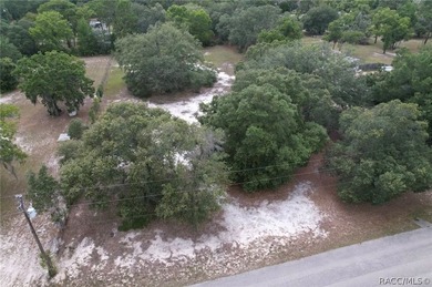 MOBILE HOMES OK! CLEARED lot with beautiful trees. Wow this is a - photo 6