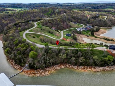 Partially Cleared Lakeview Lot - photo 15