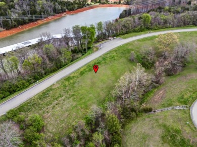 Partially Cleared Lakeview Lot - photo 4