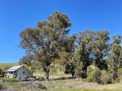 Historic O'Connor Ranch Nestled in the heart of San Luis Obispo - photo 4