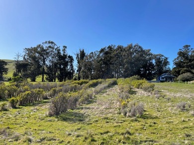 Historic O'Connor Ranch Nestled in the heart of San Luis Obispo - photo 9