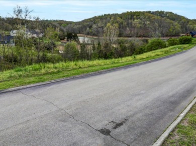 Partially Cleared Lakeview Lot - photo 6