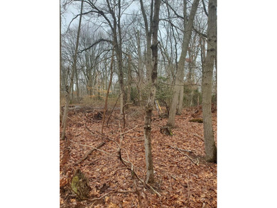 Discover the perfect opportunity to build your dream home in the - photo 1