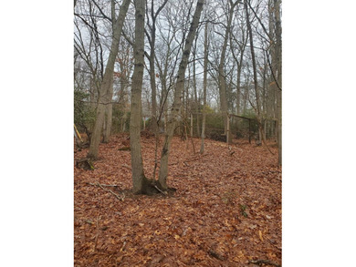 Discover the perfect opportunity to build your dream home in the - photo 4