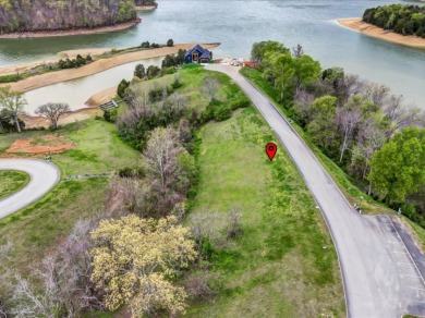 Partially Cleared Lakeview Lot - photo 10
