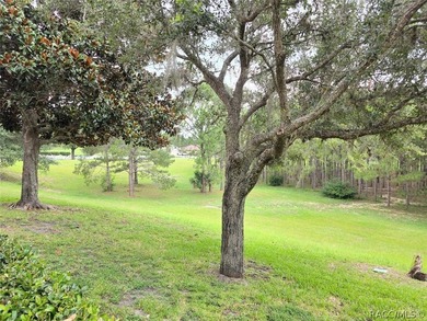 Reduced*** Seller motivated! Welcome to one of Citrus Hills' - photo 6