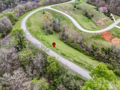 Partially Cleared Lakeview Lot - photo 12