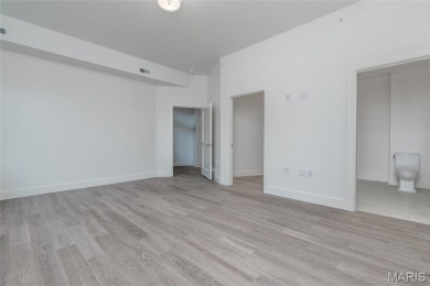 Fantastic 55+ new construction in Skinker DeBaliviere. Project