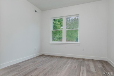 Fantastic 55+ new construction in Skinker DeBaliviere. Project