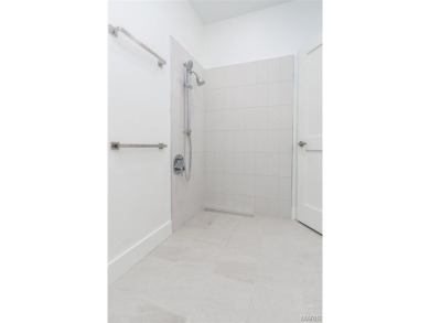 Fantastic 55+ new construction in Skinker DeBaliviere. Project