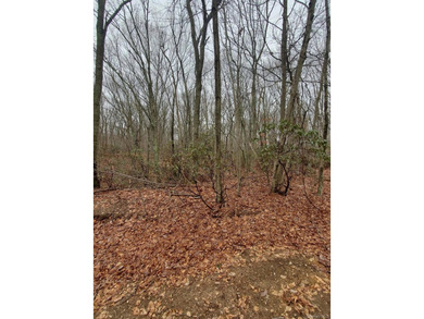 Build Your Dream Home in Spectacular and Peaceful Nissequogue - photo 2