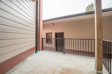 Fantastic 55+ new construction in Skinker DeBaliviere. Project