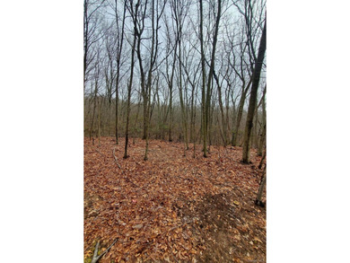 Build Your Dream Home in Spectacular and Peaceful Nissequogue - photo 3