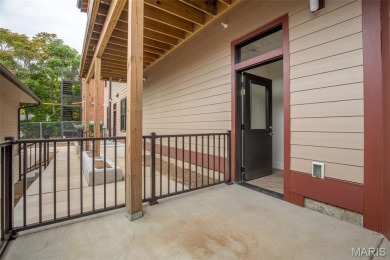 Fantastic 55+ new construction in Skinker DeBaliviere. Project