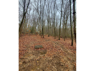 Build Your Dream Home in Spectacular and Peaceful Nissequogue - photo 4