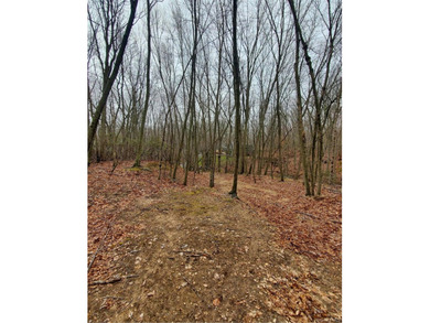Build Your Dream Home in Spectacular and Peaceful Nissequogue - photo 5