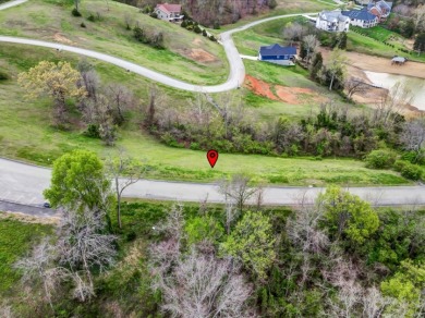 Partially Cleared Lakeview Lot - photo 8