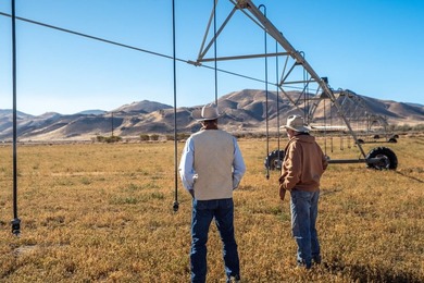 The *710.97* acre Palomino Farms stands as a cherished - photo 3
