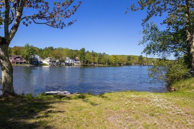 Welcome to this turnkey, fully furnished 4 season home on - photo 6