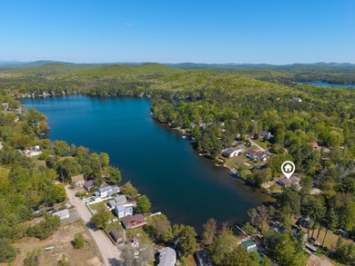 Welcome to this turnkey, fully furnished 4 season home on - photo 8