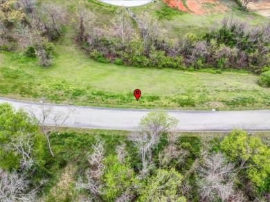 Partially Cleared Lakeview Lot - photo 2