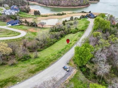 Partially Cleared Lakeview Lot - photo 9