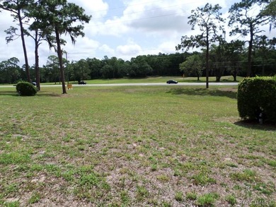 Situated centrally within the Rainbow Springs Community, this - photo 6