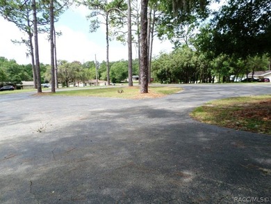 Situated centrally within the Rainbow Springs Community, this - photo 8
