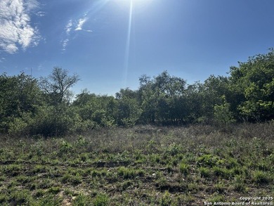 (private lake, pond, creek) Lot For Sale in Poteet Texas