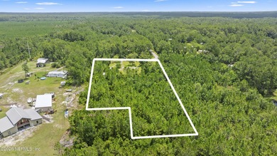 **ANIMALS ALLOWED**4.35 ACRES OF DRY LAND**CLEARED 1.5 ACRES** - photo 4