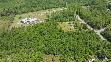 **ANIMALS ALLOWED**4.35 ACRES OF DRY LAND**CLEARED 1.5 ACRES** - photo 6