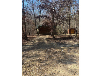 (private lake, pond, coastal) Home For Sale in Menlo Georgia