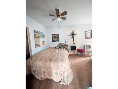 Don't miss out on this little cabin on Warrior River. Cabin is - photo 11