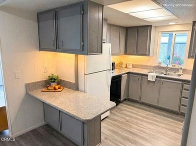 12 Isabel Ave 83 - photo 11