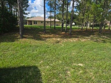 Act fast to secure one of the absolute last remaining homesites - photo 1