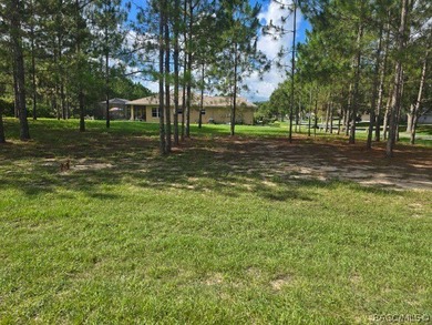 Act fast to secure one of the absolute last remaining homesites - photo 2