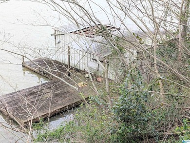 Don't miss out on this little cabin on Warrior River. Cabin is - photo 13