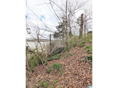 Don't miss out on this little cabin on Warrior River. Cabin is - photo 14