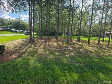 Act fast to secure one of the absolute last remaining homesites - photo 4