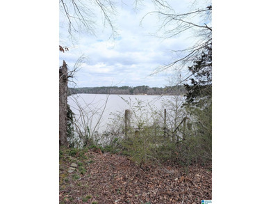 Don't miss out on this little cabin on Warrior River. Cabin is - photo 15
