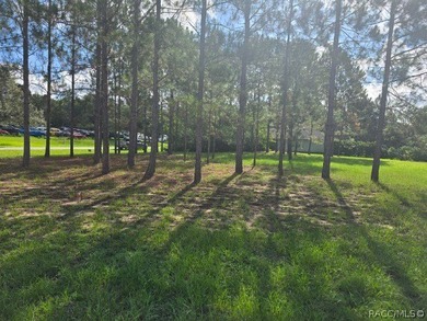 Act fast to secure one of the absolute last remaining homesites - photo 5