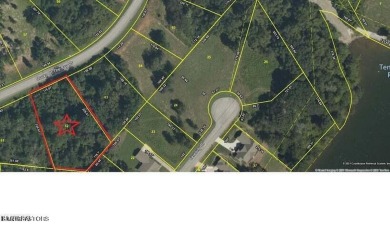: This is a very easy build lot in the Docks at Caney Creek - Lake Lot For Sale in Rockwood, Tennessee