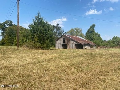 42 beautiful acres, with rolling pastures, mature trees and - photo 11